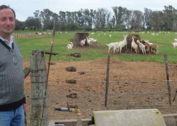 Un espacio donde se vive