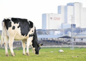 Sector lácteo: Sin acuerdo salarial entre el gremio y las cámaras