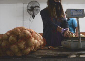 Soberanía es salud digna