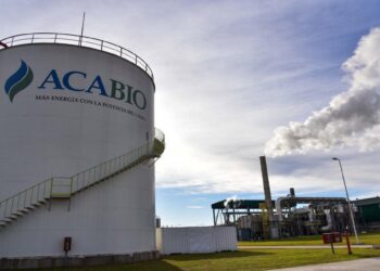 Ingresó a Diputados una nueva Ley de Biocombustibles