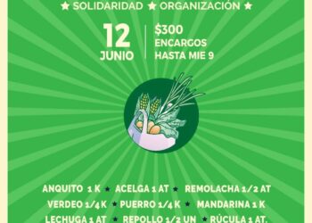 Organizan colectivamente el alimento