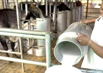 Los nuevos paradigmas desde el mundo agroalimentario