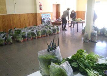 Nuevo operativo de alimentos