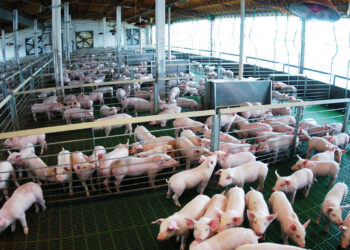 Soberanía o dependencia: los entredichos de un acuerdo dudoso