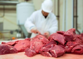 Repartija de la cuota Hilton