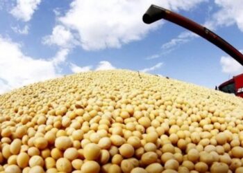 Exportaciones sin techo