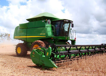 Los cultivos son ajenos