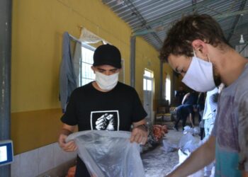 Iniciativa popular para la soberanía alimentaria