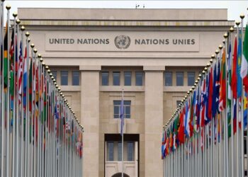 Los instrumentos políticos 