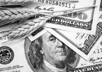 Salarios en pesos, alimentos en dólares