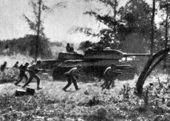 Frenar la invasión, defender la revolución