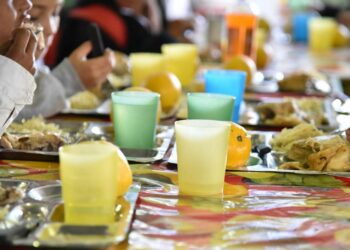 Precarización en los PAICor