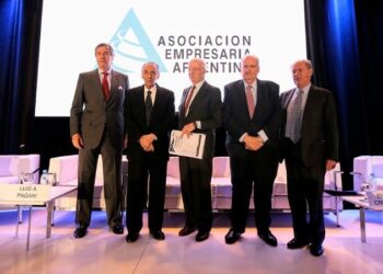 Estructura empresarial en Argentina