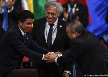 Castillo acude a la OEA para la “preservación de la institucionalidad democrática”