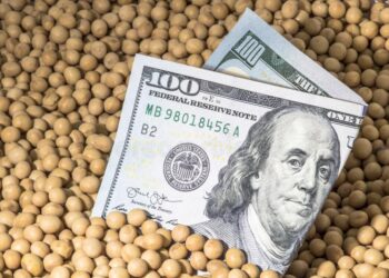 Sesgo exportable en el país de la pobreza