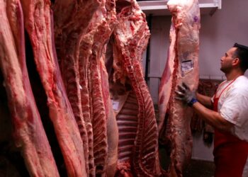 Gobierno implementa cambios en la distribución de carne vacuna