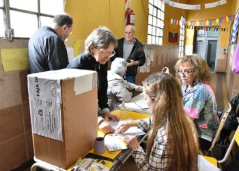 Elecciones vecinales