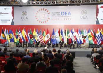 Perú: por el visto bueno de la OEA