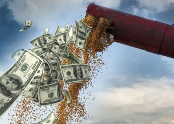 Dólares para las grandes agroexportadoras