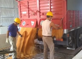 Trabajadores recibidores de granos pararon los acopios de todo el país