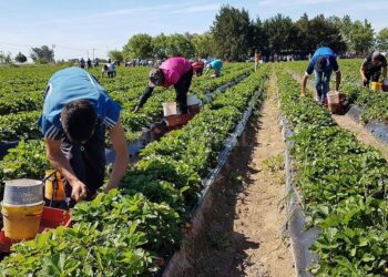 Creció la brecha salarial entre trabajadores registrados e informales