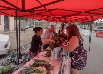 El consumo organizado le gana a la inflación