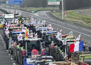 Protestas de productores agrícolas sacuden Europa