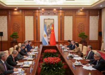 Infraestructura y litio en la mira de empresarios chinos