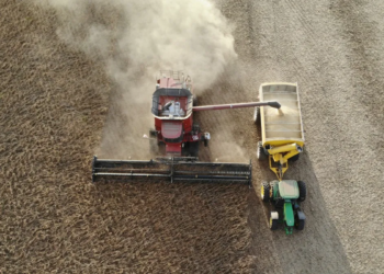 Por un guiño al agro