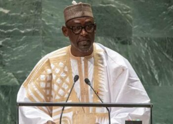 Mali denunció que Ucrania apoya el terrorismo en el Sahel