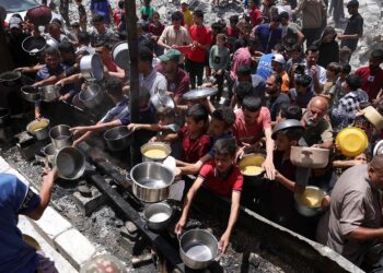 Crisis humanitaria en Gaza