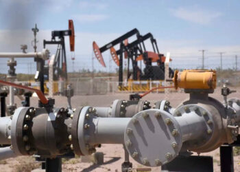 La vaca más viva que nunca