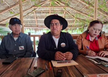 Los docentes mexicanos en el camino de la resistencia