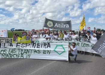 Media Verónica despierta